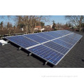 Poly Solar Panel 240W